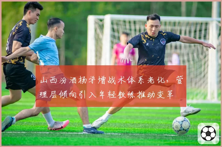 山西汾酒杨学增战术体系老化,管理层倾向引入年轻教练推动变革